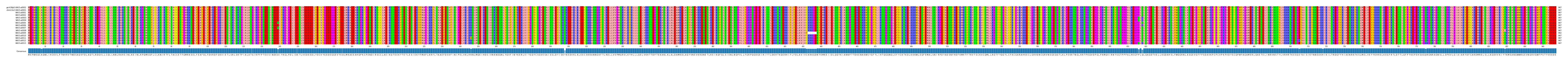 Multiple Alignments (by translate haplotype frequency)