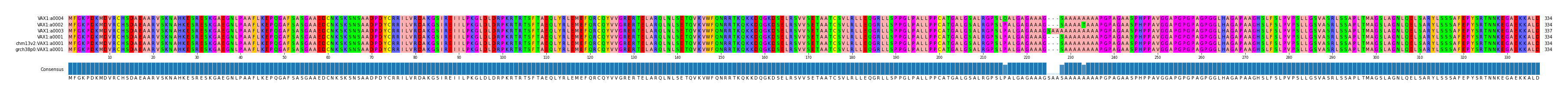 Multiple Alignments (by translate haplotype similarity)