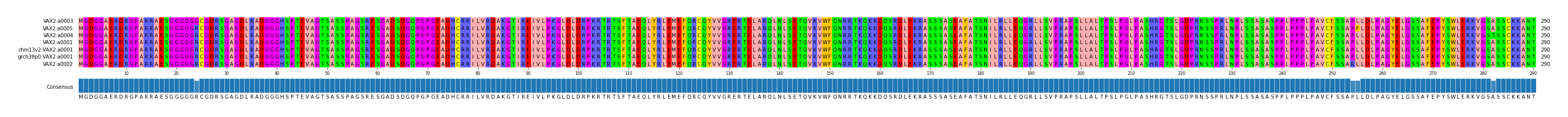 Multiple Alignments (by translate haplotype similarity)