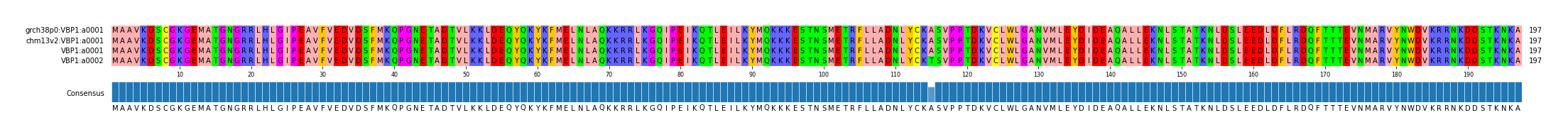 Multiple Alignments (by translate haplotype similarity)