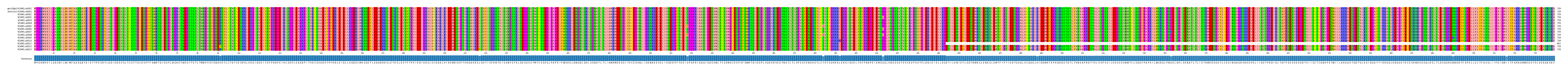 Multiple Alignments (by translate haplotype frequency)