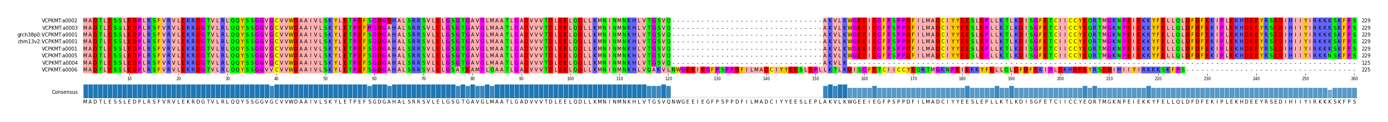 Multiple Alignments (by translate haplotype similarity)