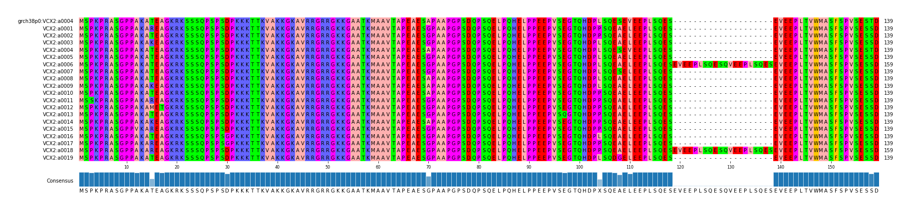 Multiple Alignments (by translate haplotype frequency)