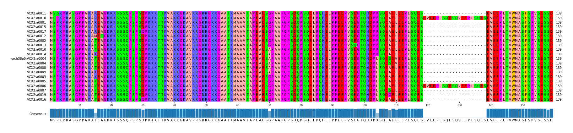 Multiple Alignments (by translate haplotype similarity)