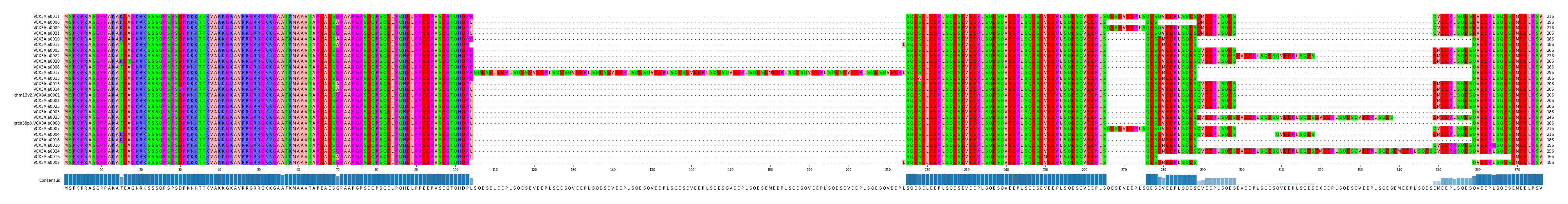 Multiple Alignments (by translate haplotype similarity)