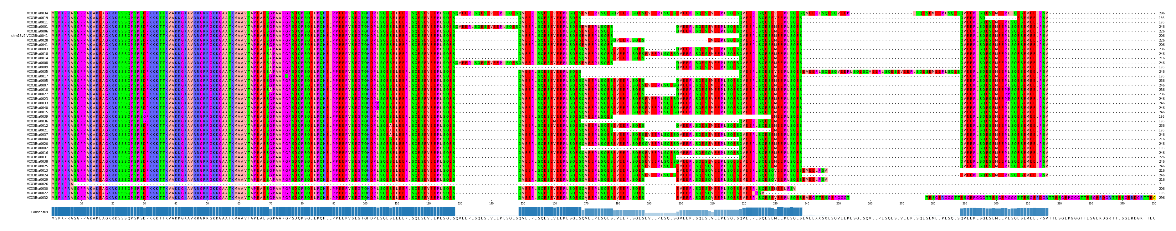 Multiple Alignments (by translate haplotype similarity)