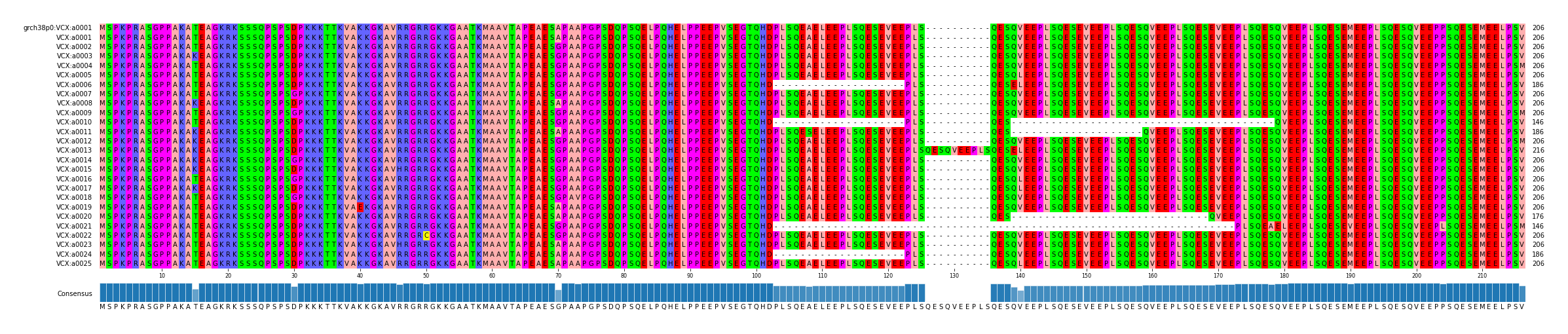 Multiple Alignments (by translate haplotype frequency)