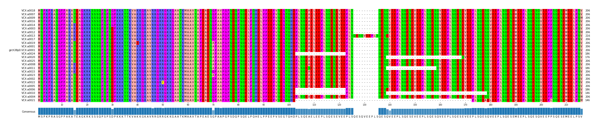 Multiple Alignments (by translate haplotype similarity)