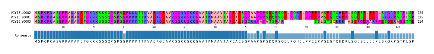 Multiple Alignments (by translate haplotype similarity)