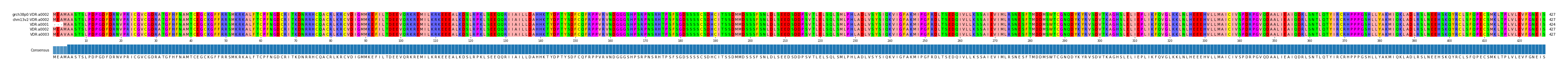 Multiple Alignments (by translate haplotype frequency)