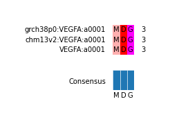 Multiple Alignments (by translate haplotype similarity)