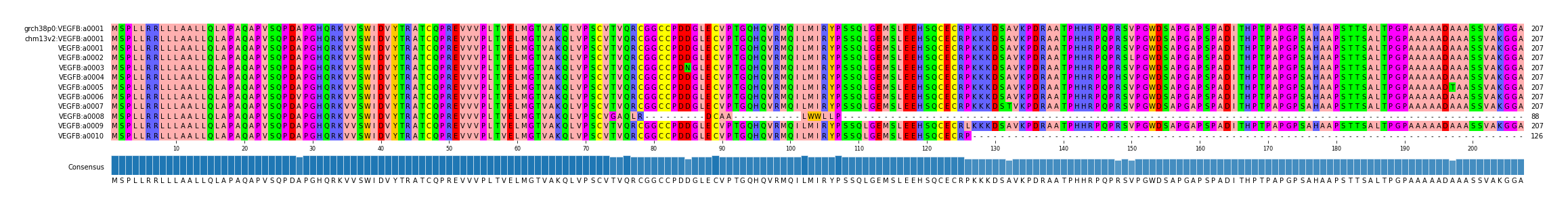 Multiple Alignments (by translate haplotype frequency)