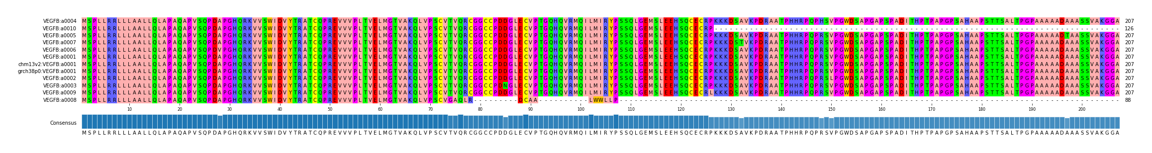 Multiple Alignments (by translate haplotype similarity)