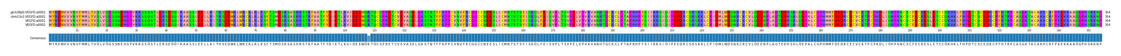 Multiple Alignments (by translate haplotype similarity)