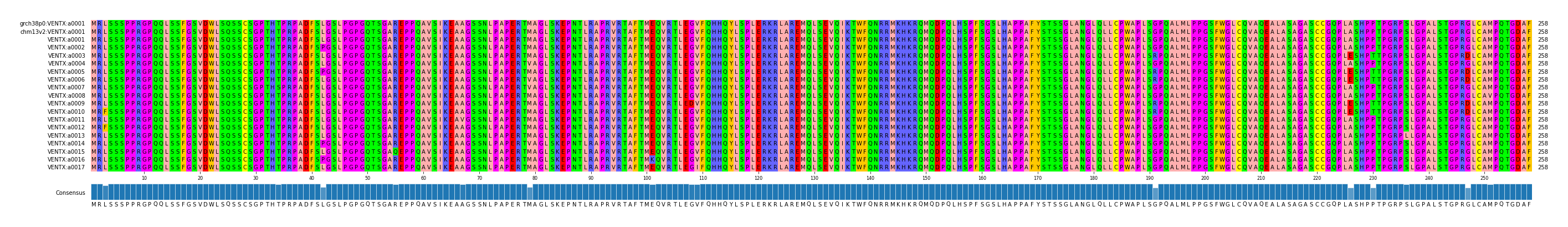 Multiple Alignments (by translate haplotype frequency)