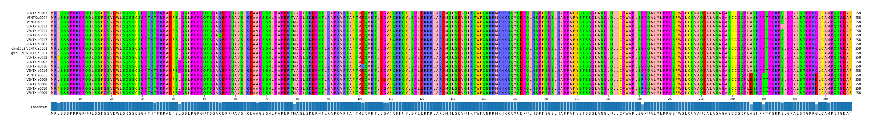Multiple Alignments (by translate haplotype similarity)