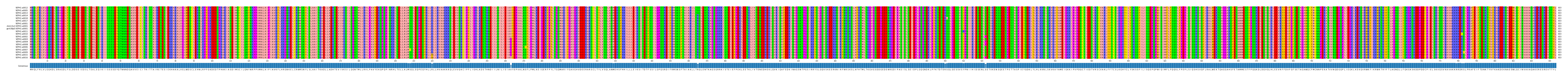 Multiple Alignments (by translate haplotype similarity)