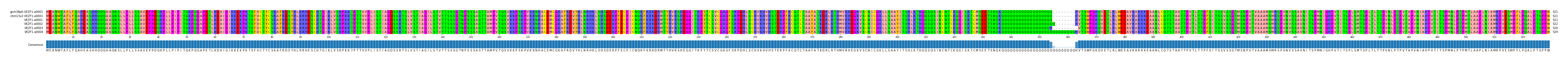 Multiple Alignments (by translate haplotype frequency)
