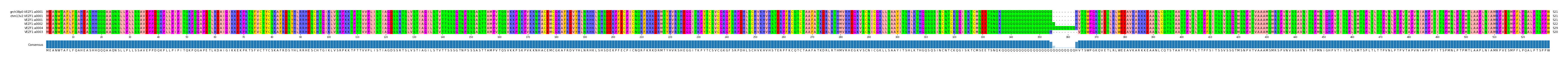 Multiple Alignments (by translate haplotype similarity)