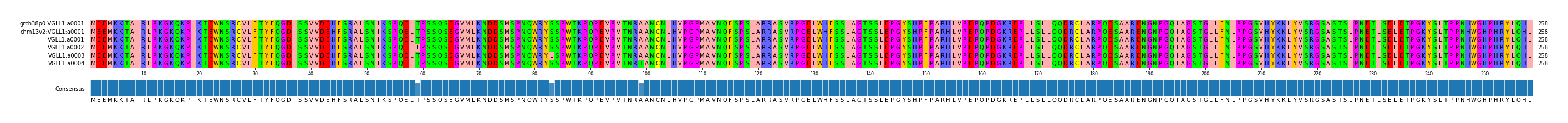 Multiple Alignments (by translate haplotype frequency)