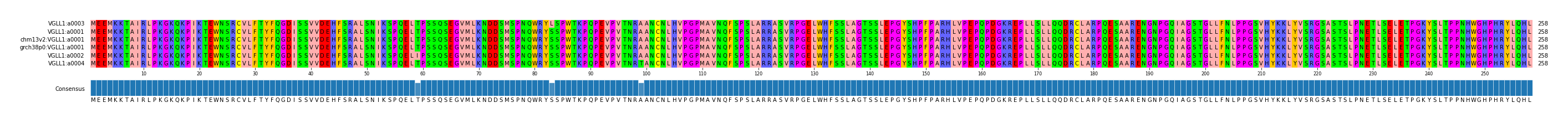 Multiple Alignments (by translate haplotype similarity)