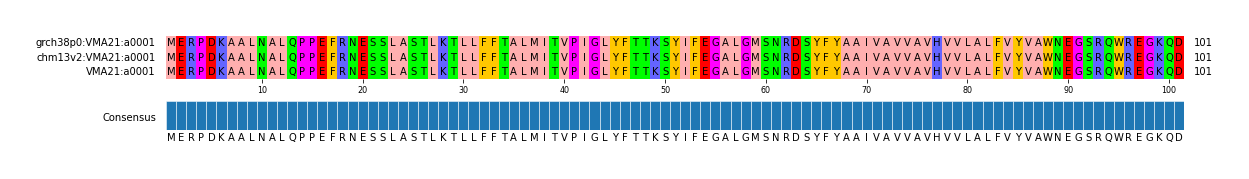 Multiple Alignments (by translate haplotype similarity)