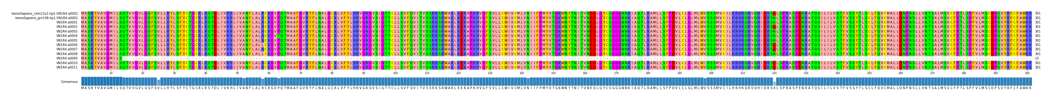 Multiple Alignments (by translate haplotype frequency)