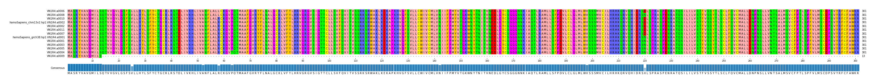 Multiple Alignments (by translate haplotype similarity)