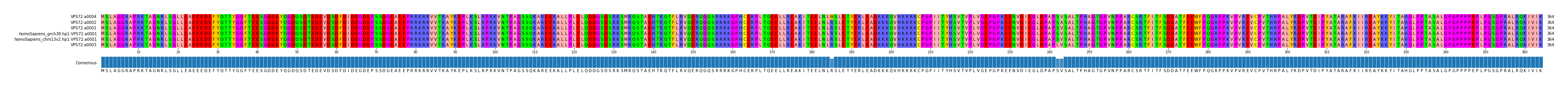 Multiple Alignments (by translate haplotype similarity)