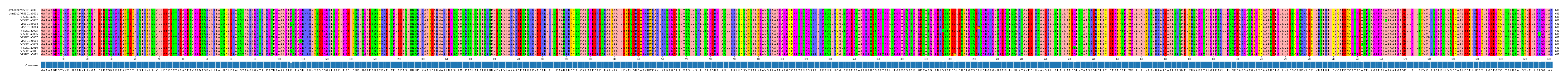 Multiple Alignments (by translate haplotype frequency)
