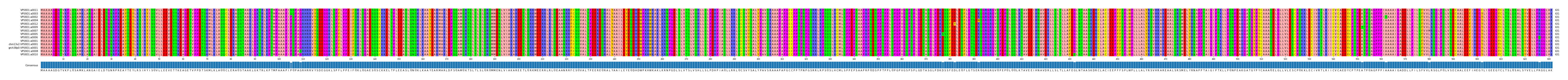 Multiple Alignments (by translate haplotype similarity)