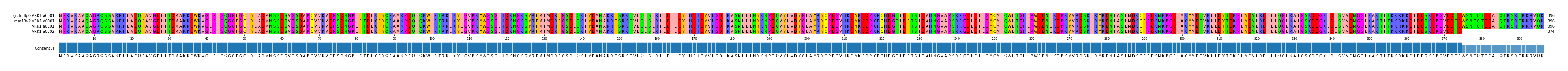 Multiple Alignments (by translate haplotype similarity)