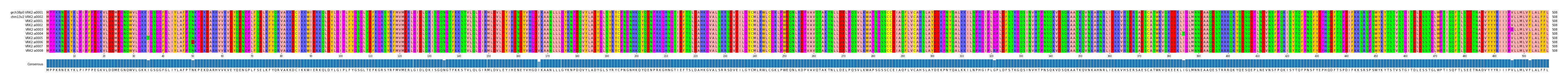 Multiple Alignments (by translate haplotype frequency)