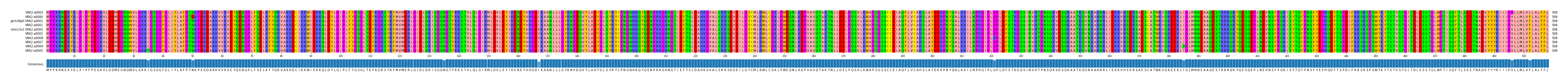 Multiple Alignments (by translate haplotype similarity)