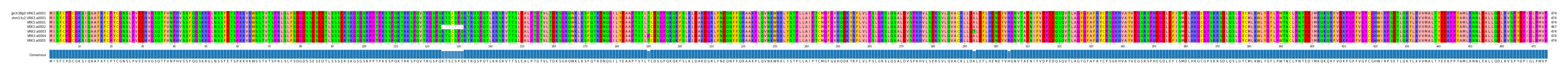 Multiple Alignments (by translate haplotype frequency)