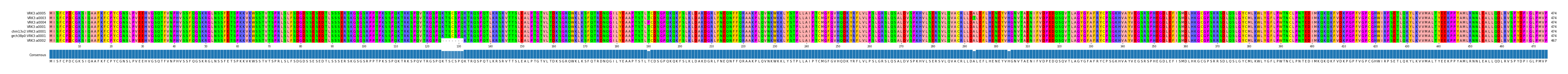 Multiple Alignments (by translate haplotype similarity)