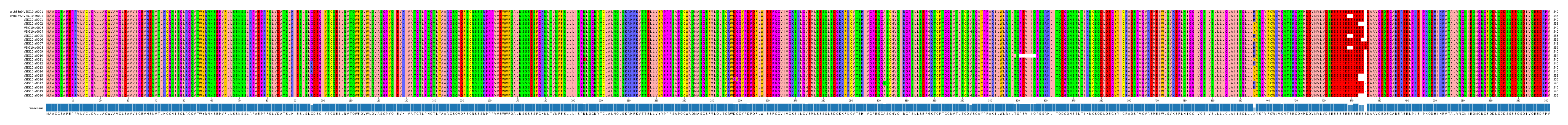 Multiple Alignments (by translate haplotype frequency)