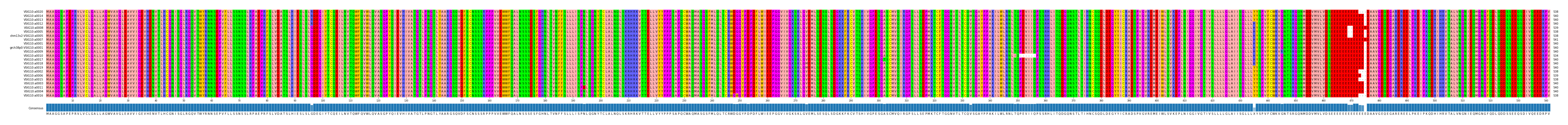 Multiple Alignments (by translate haplotype similarity)