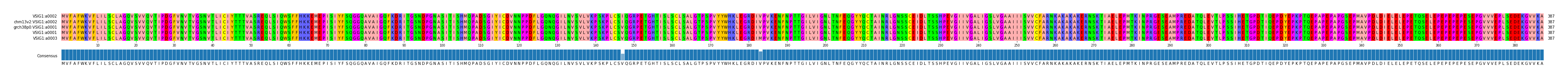 Multiple Alignments (by translate haplotype similarity)