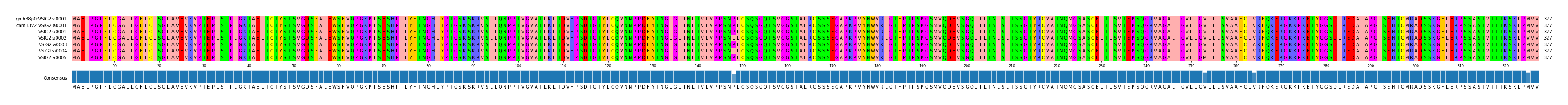 Multiple Alignments (by translate haplotype frequency)