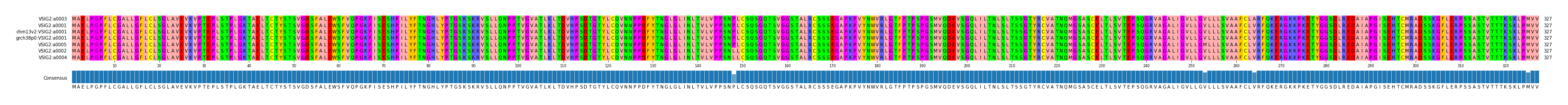 Multiple Alignments (by translate haplotype similarity)
