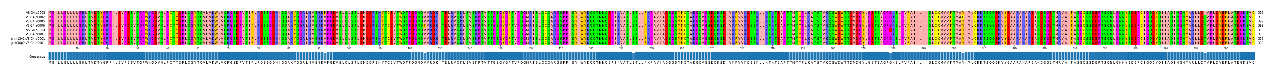 Multiple Alignments (by translate haplotype similarity)