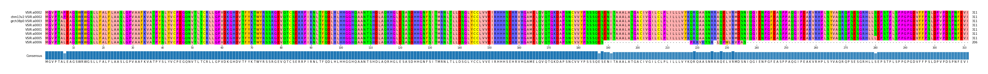 Multiple Alignments (by translate haplotype similarity)
