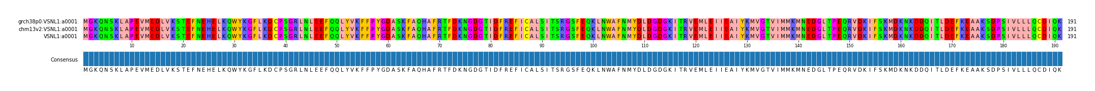 Multiple Alignments (by translate haplotype similarity)