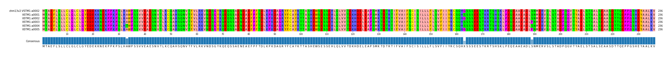 Multiple Alignments (by translate haplotype frequency)