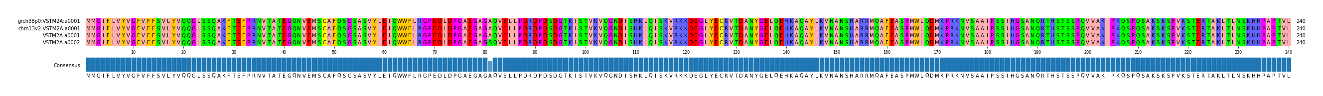 Multiple Alignments (by translate haplotype similarity)