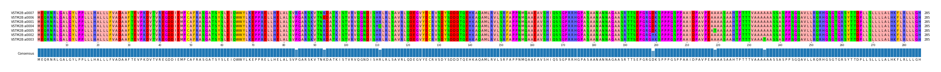 Multiple Alignments (by translate haplotype similarity)