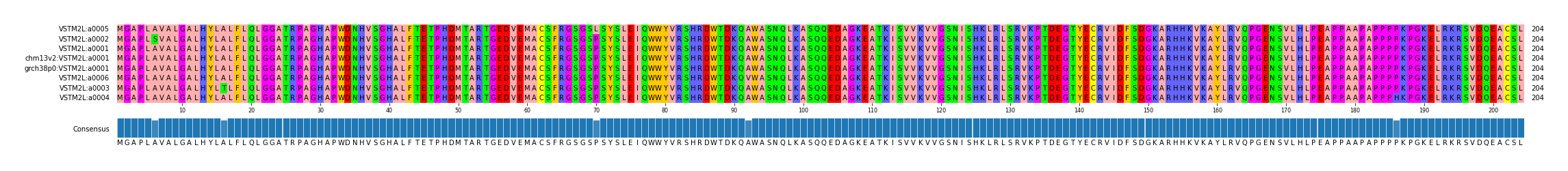 Multiple Alignments (by translate haplotype similarity)