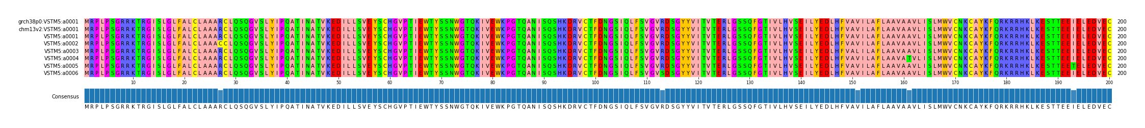 Multiple Alignments (by translate haplotype frequency)