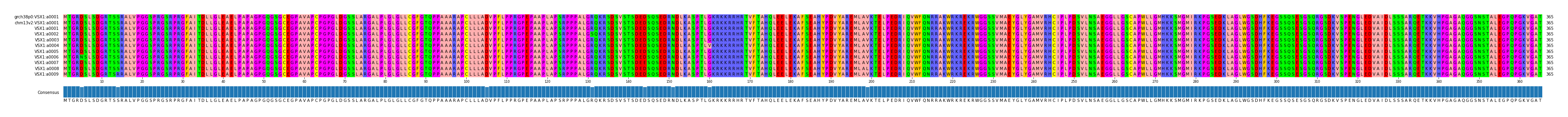Multiple Alignments (by translate haplotype frequency)